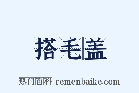 搭毛盖是什么意思的图片